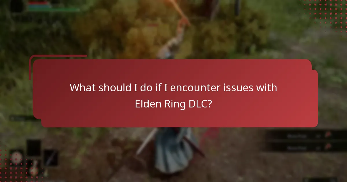 What should I do if I encounter issues with Elden Ring DLC?